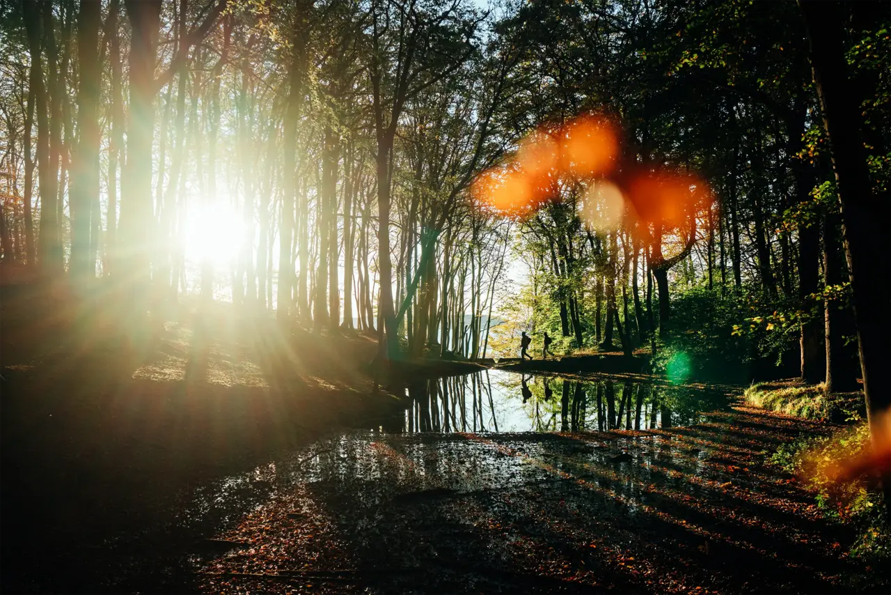 Herbstwanderung.webp