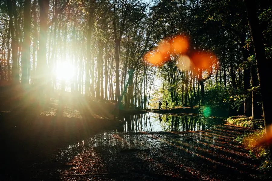 Herbstwanderung.jpg